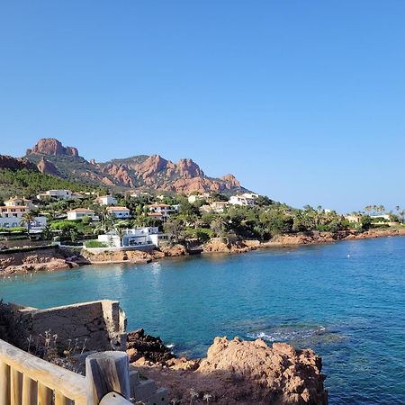 Studio Agay A 2 Pas Des Plages Saint-Raphaël エクステリア 写真